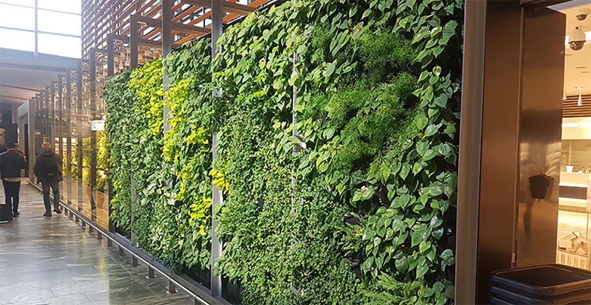 Wand mit vertical garden