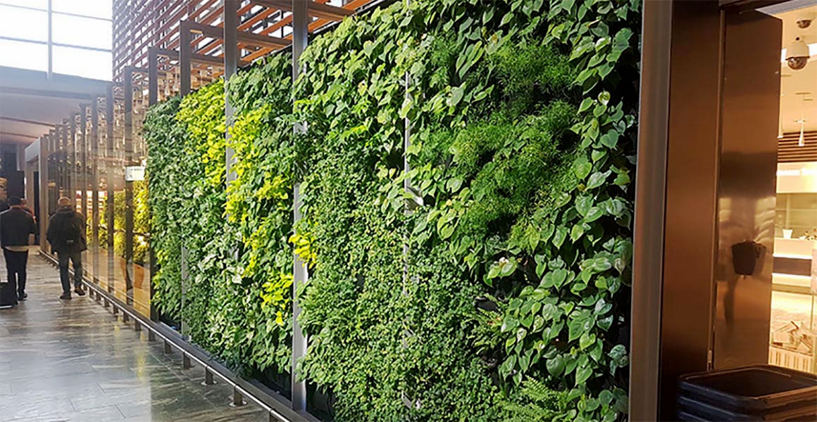 Wand mit vertical garden