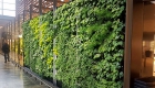Wand mit vertical garden